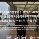 겨레하나여행