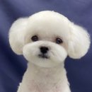 365동판교동물병원 이미지