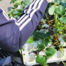 원주농협 자재센터 이미지