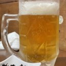 수원-0519 | 240515-0519 일본 (4): 우에노와 나리타