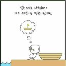 용인대 미르 태권도 이미지