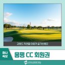 (주)HJ매그놀리아용평호텔앤리조트 | 용평 CC 회원권 강원도 자연을 마음껏 즐겨보세요