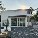 나잇플라잇 이미지