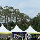 재주소년 | 제주가족 서울 여행(feat. 재주소년 7집 발매기념 콘서트 '머물러 줄래')