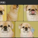 너일해봄 네이버블로그