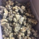 바이올렛의 홍삼사랑 이미지