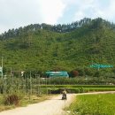 다성주유소 이미지