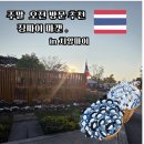 굿푸드마켓대소원점 | 치앙마이 징짜이마켓 후기 주말 오전 방문하기 좋은 마켓