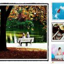 파스텔로 그리는 아름다운 풍경 이미지