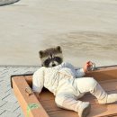 송이조각공원 화장실 이미지