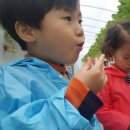 화룡농장 이미지