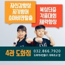 용인대SM복싱클럽도화점 이미지