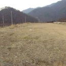 천주산 등산 도로변 이미지