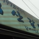 도화갈매기 이미지