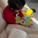 동화 | 돌아기 전집 야물야물 생활동화 후기 / 구성, 가격, 아이 반응, 장단점