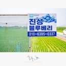 김경순농장 | 평택 여행 친환경 무농약 진성 블루베리 농장 체험