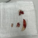 으뜸원동물병원 이미지