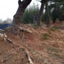 하루농장 이미지