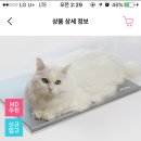 고양이나 강아지 쿨매트 써본도토있어?! 이미지