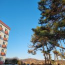 솔밭천수모텔 이미지