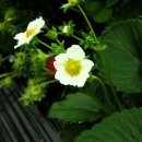 운향농장 이미지