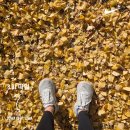 （주）지엔에스올리브떡볶이문학점 | [11-2] 디모인