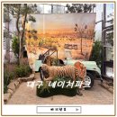 계룡더파크포레 | 대구 아이랑 가볼만한곳 네이처파크 후기 호텔드포레 숙박 연계 코스 추천