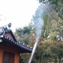 들꽃밥상 이미지