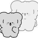 마티나로스팅커피머신 이미지