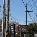 호두나무CAFE | 국내 여행] 봄바람 따라 떠난 하남 천년고찰 ‘동사(桐寺)’ 방문기 🌸 (보물 삼층·오층석탑과 아름다운...