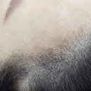 프로닷스칼프 | 남양주두피관리 유명하고 만족스러운 프로닷 스칼프 방문 후기