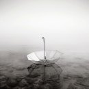 엘리제를 위하여 이미지