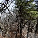 승련사 - 1303 | ♬ [100대 명산] 달성 비슬산 산행, 유가사-천왕봉-월광봉-조화봉-대견사지-유가사(2)
