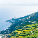 남해-135 이미지