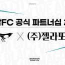젤라 풋볼리스트