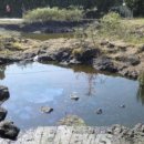 수연목장 이미지