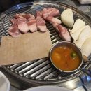 맘모스껍데기 이미지