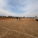 부적농협주유소 | 2026 논산딸기축제 후기 | 주차 딸기 먹거리 디저트 푸드 꿀팁 준비물
