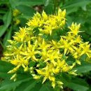 기린초등학교 이미지