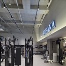 성신헬스 | 바프 앞두고, 무게보다 ‘라인’부터 — 성신여대입구역 헬스 후기