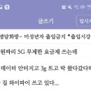 나 8만원짜리 5G 무제한 요금제 쓰는데 이미지