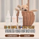 하얀집세탁소 | 런드리씨 얼룩제거제 후기 하얀 옷 얼룩 지우는법 꿀팁