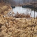 호동2소류지 이미지