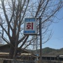 신령역돔양어장회 이미지