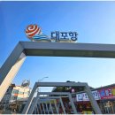 화이트모텔 | 속초 대포항 가성비 숙소 마린모텔 위치 좋고 깔끔한 후기