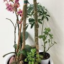 나의 창 | 목동 부부심리상담센터 다녀온 나의 변화되는 후기