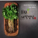 인삼쇼핑몰