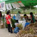 고삼면사무소 주차장 이미지