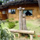 정겨운 식당 이미지