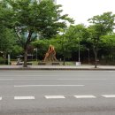 느티나무 이미지